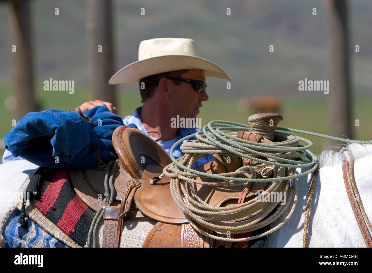 Cowboy and saddled horse at a cattle round up near Emmett Idaho Stock
