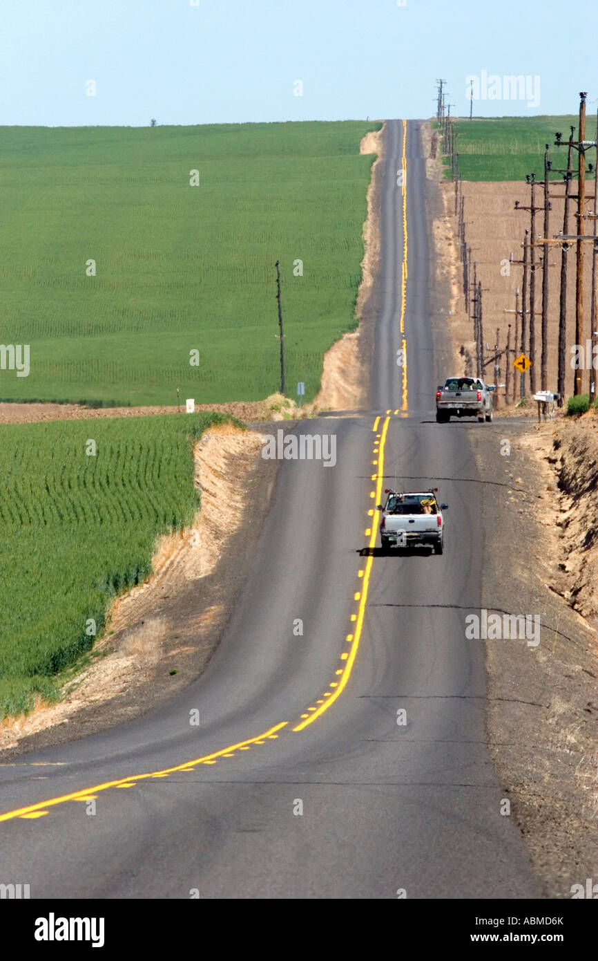 Trucks travel on a coutry road surrounded by green unripe wheat fields near Pendleton Oregon Stock Photo