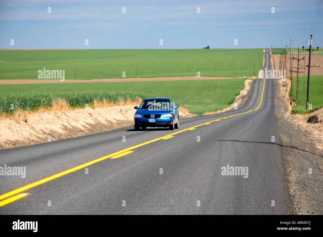 Car traveling on a country road surrounded by green unripe wheat fields near Pendleton Oregon Stock Photo