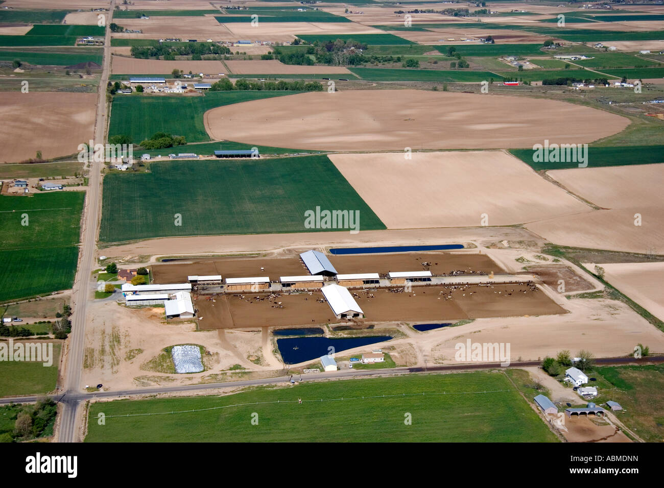 Aerial view of farmland and a dairy farm in Canyon County Idaho Stock