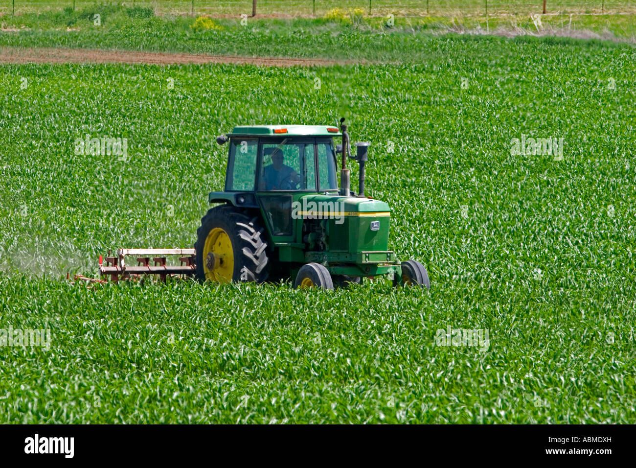 Cultivating corn near Sunnyside Washington Stock Photo
