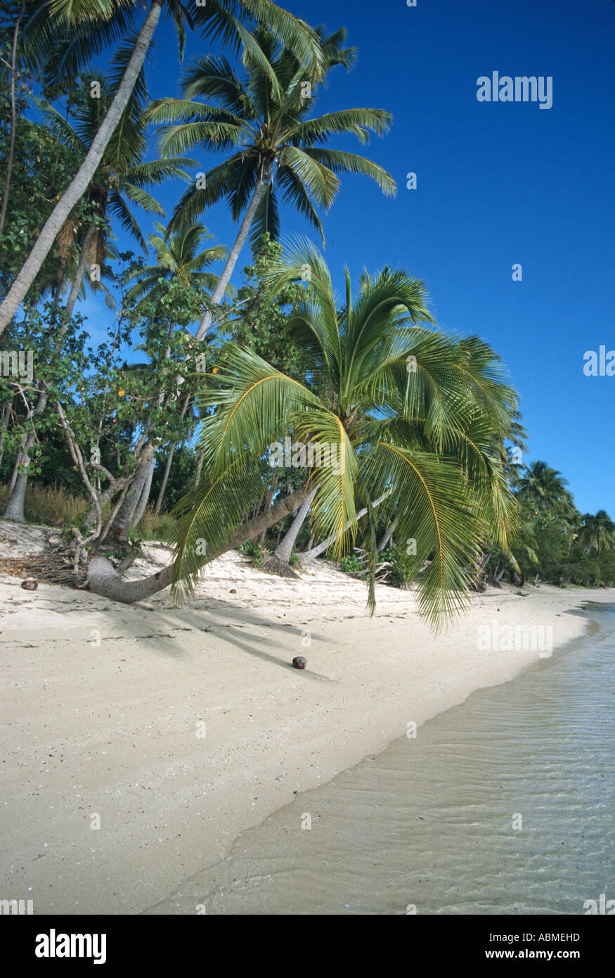 White sand beach blue sky green coconut palms Stock Photo - Alamy
