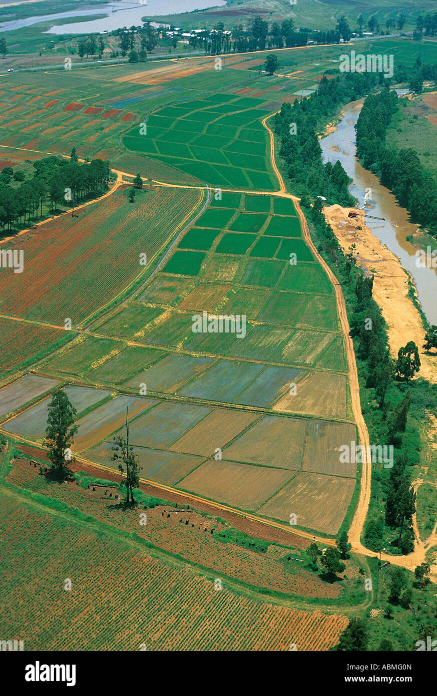 Aerial view of rice paddy fields and river Swaziland Stock Photo