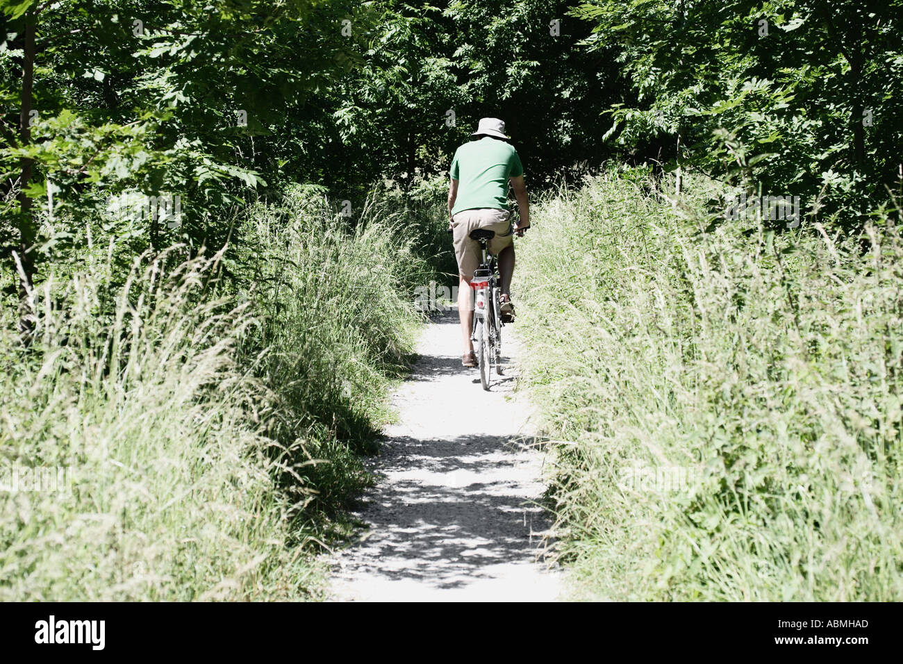Rear View Of Man With Hat Riding A Bicycle Into Forest Stock Photo