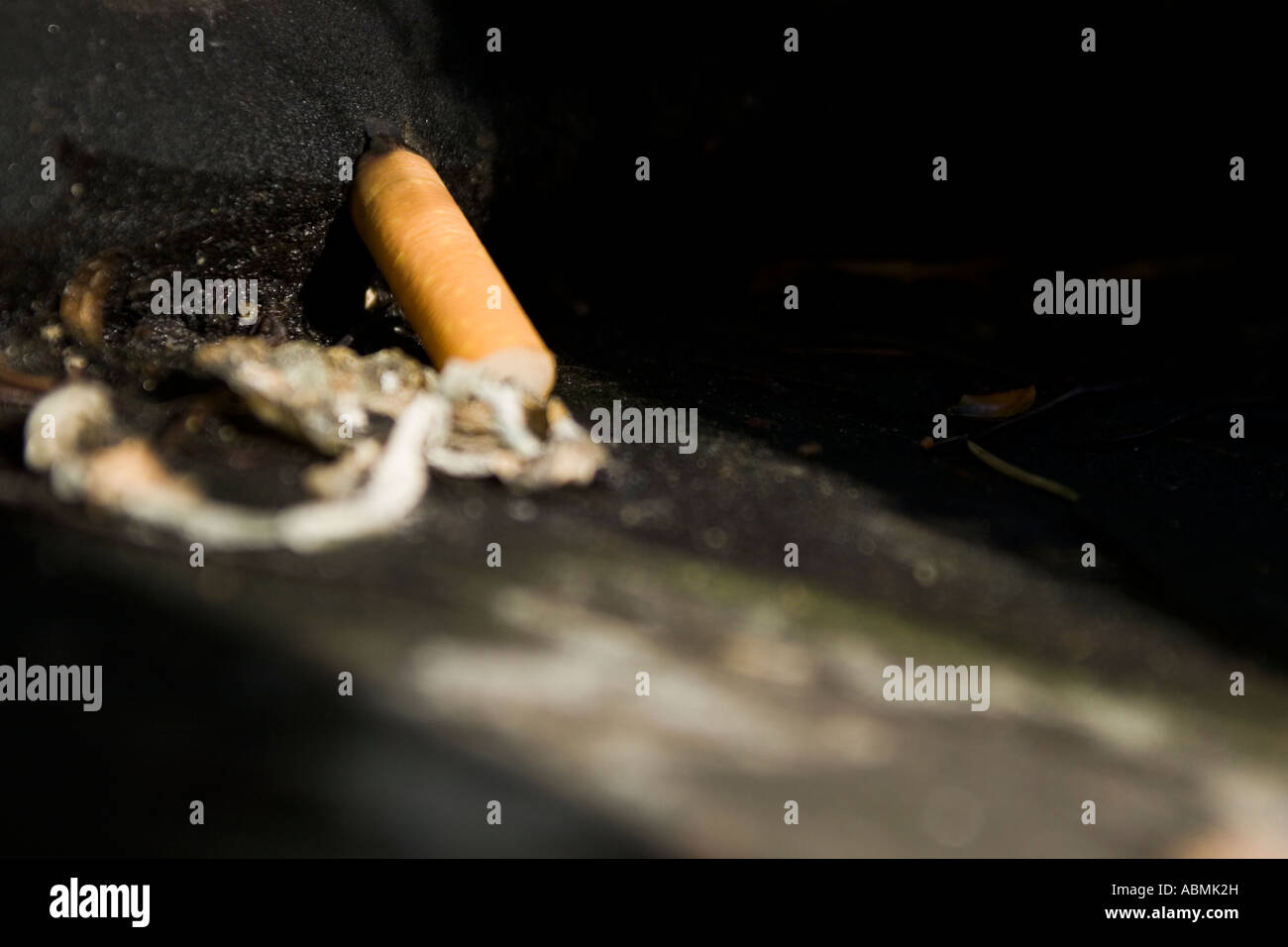 Cigarette end thrown away on the street Stock Photo Alamy