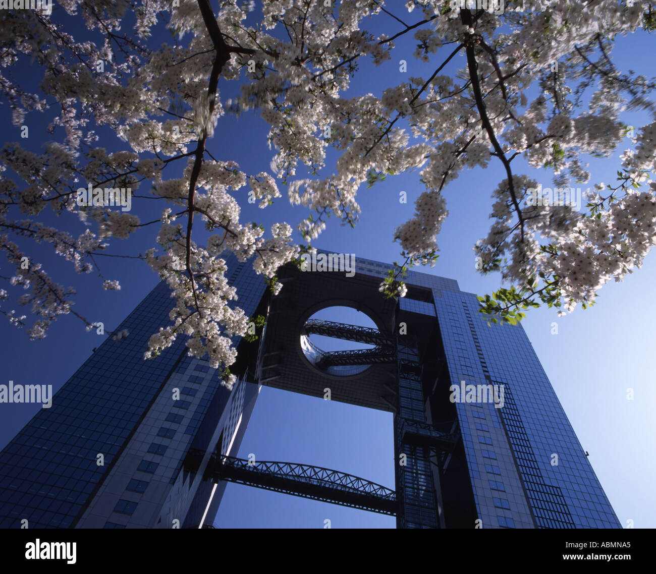Umeda sky building and cherry blossom Osaka Japan Stock Photo
