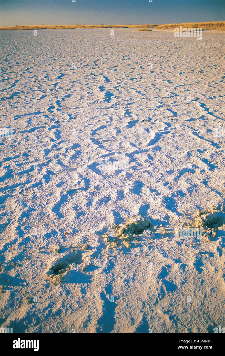 Kudiakam Pan Nxai Pan National Park Botswana Stock Photo
