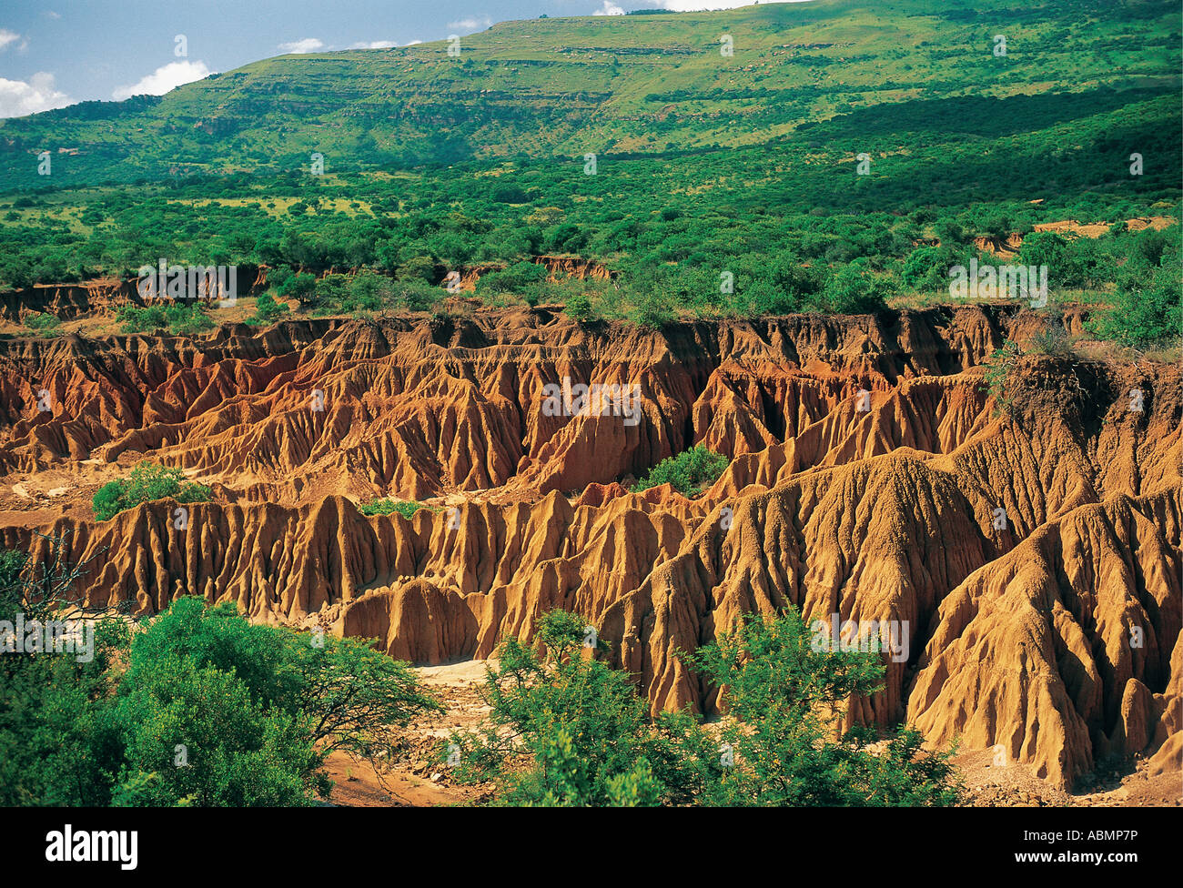 Soil erosion due to bad farming practices before proclamation Itala Game Reserve Natal South Africa Stock Photo