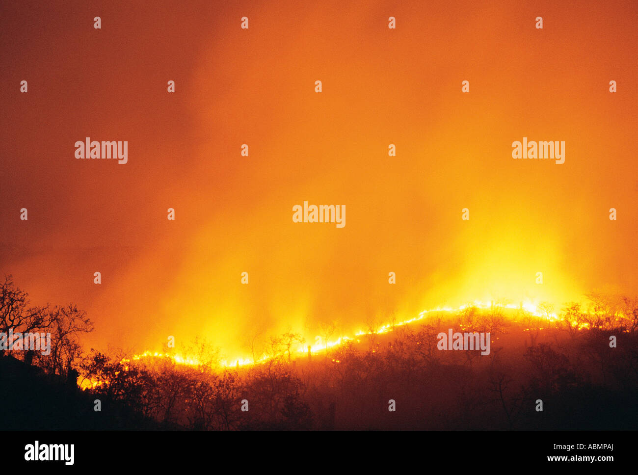 Bush and grass fire out of control northern KwaZulu Natal South Africa Stock Photo