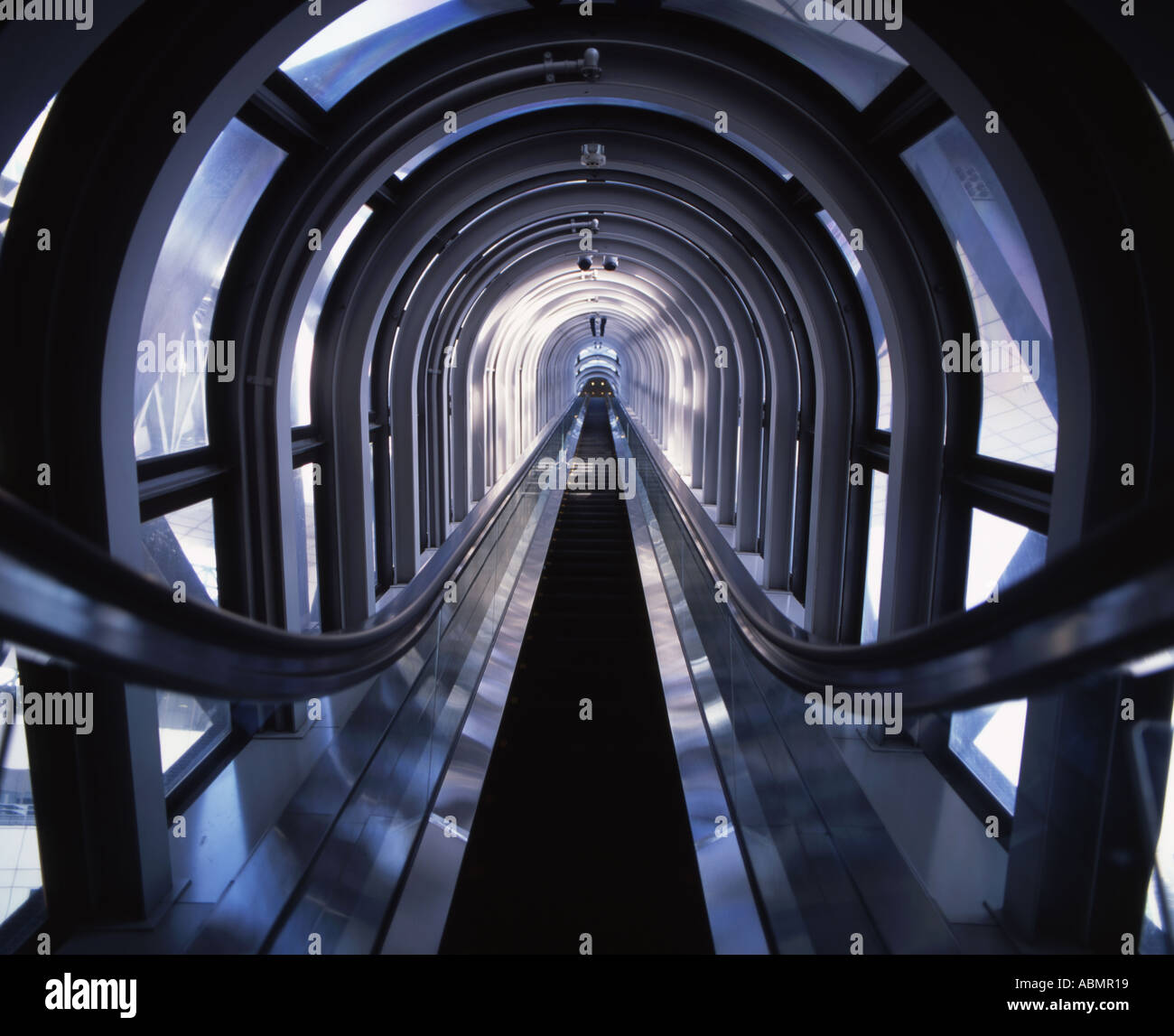 Ayollar jinsiy eshaklari