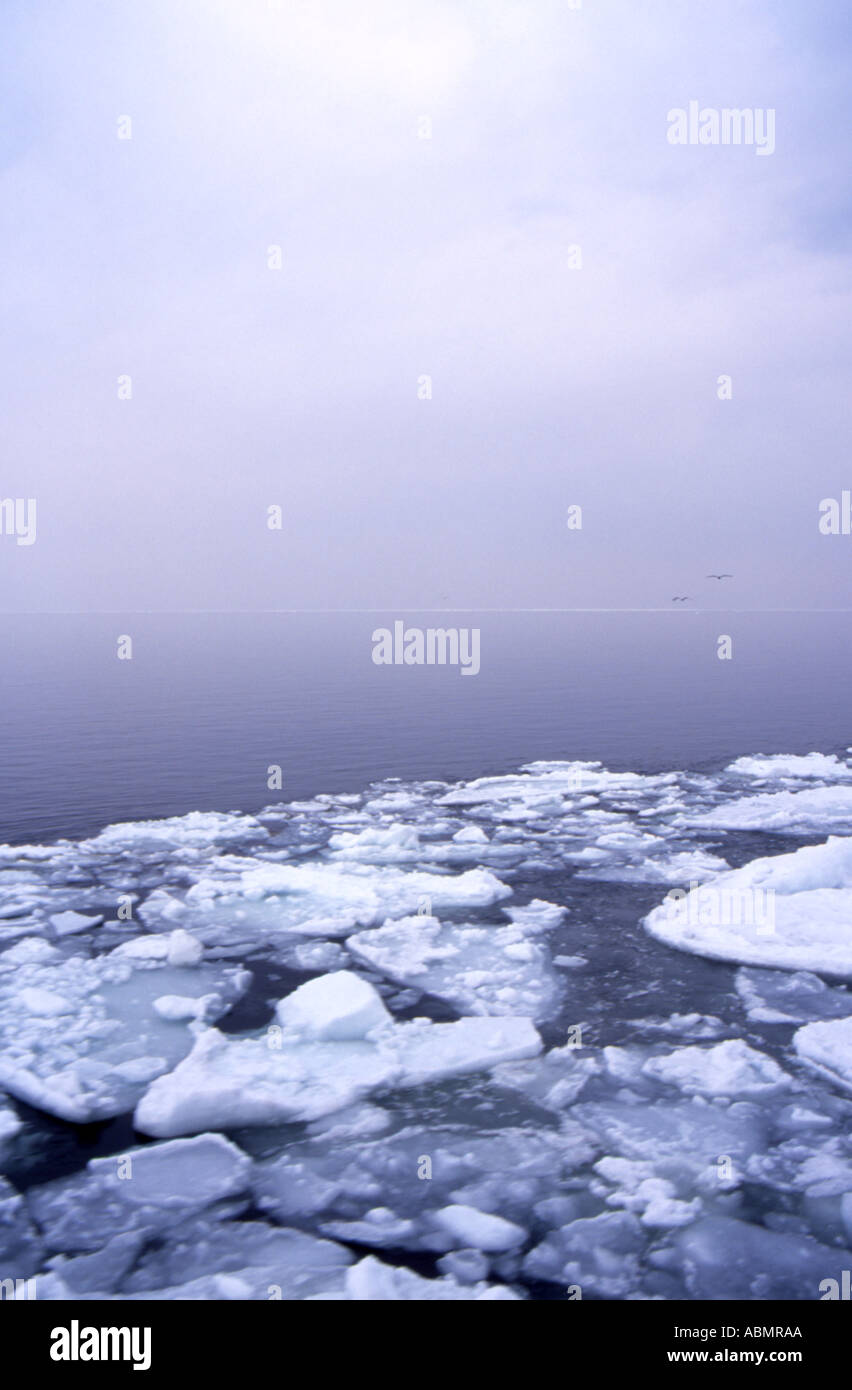 Ice flows move across the sea Abashiri Hokkaido Japan Stock Photo