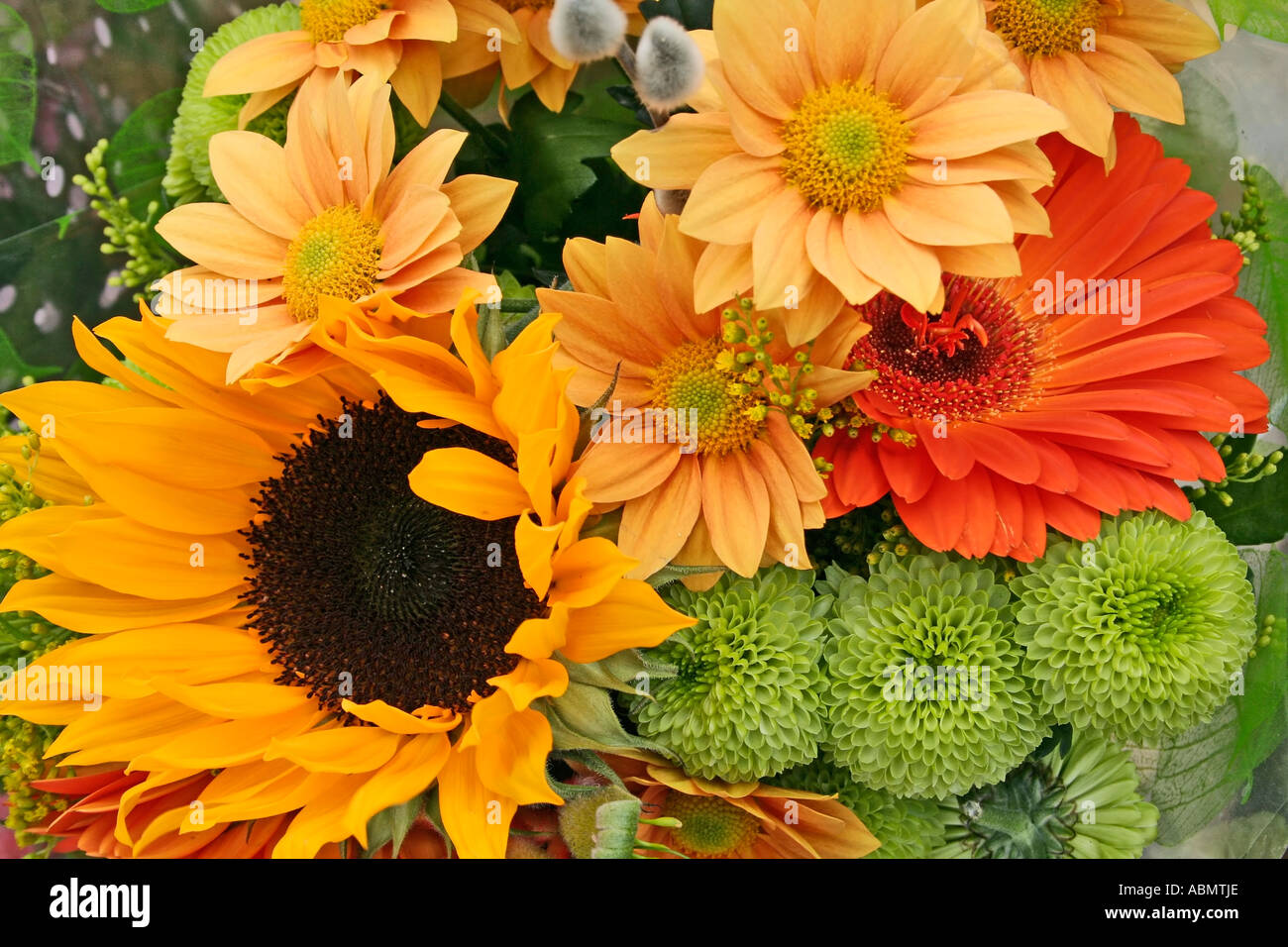 mixture of cut flower types Stock Photo Alamy