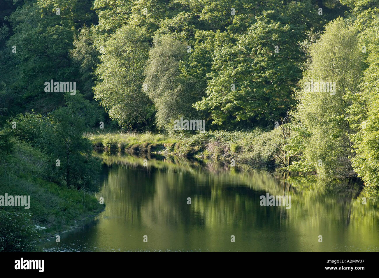Quite backwater of Llyn Brianne Reservoir Cambrian Mountains Wales