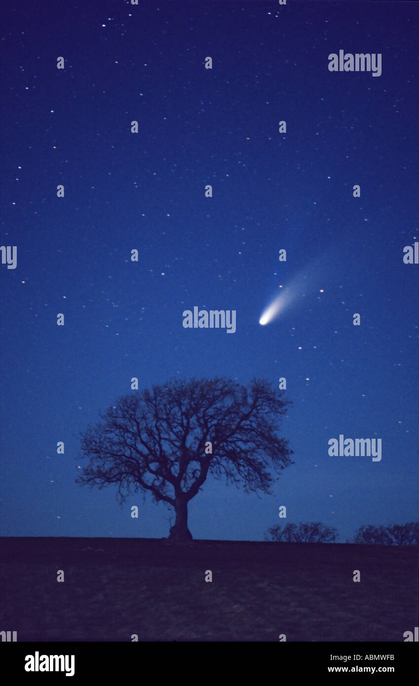 Comet Hale Bopp low in Norther Sky Stock Photo