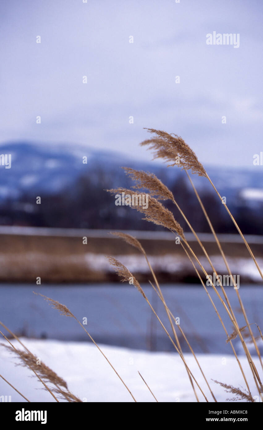 Winter landscape in Yoichi Hokkaido Japan Stock Photo
