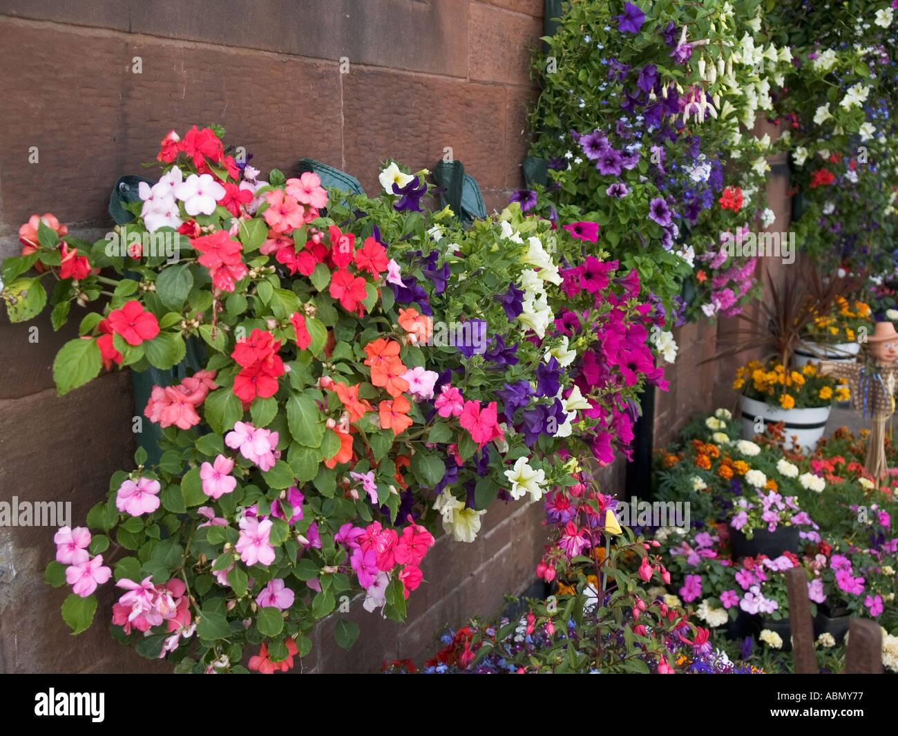 Flower Baskets Stock Photo