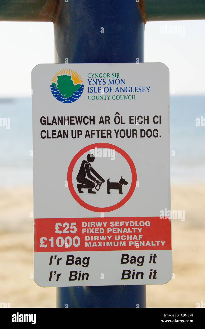 How Do I Wash My Dog After The Beach