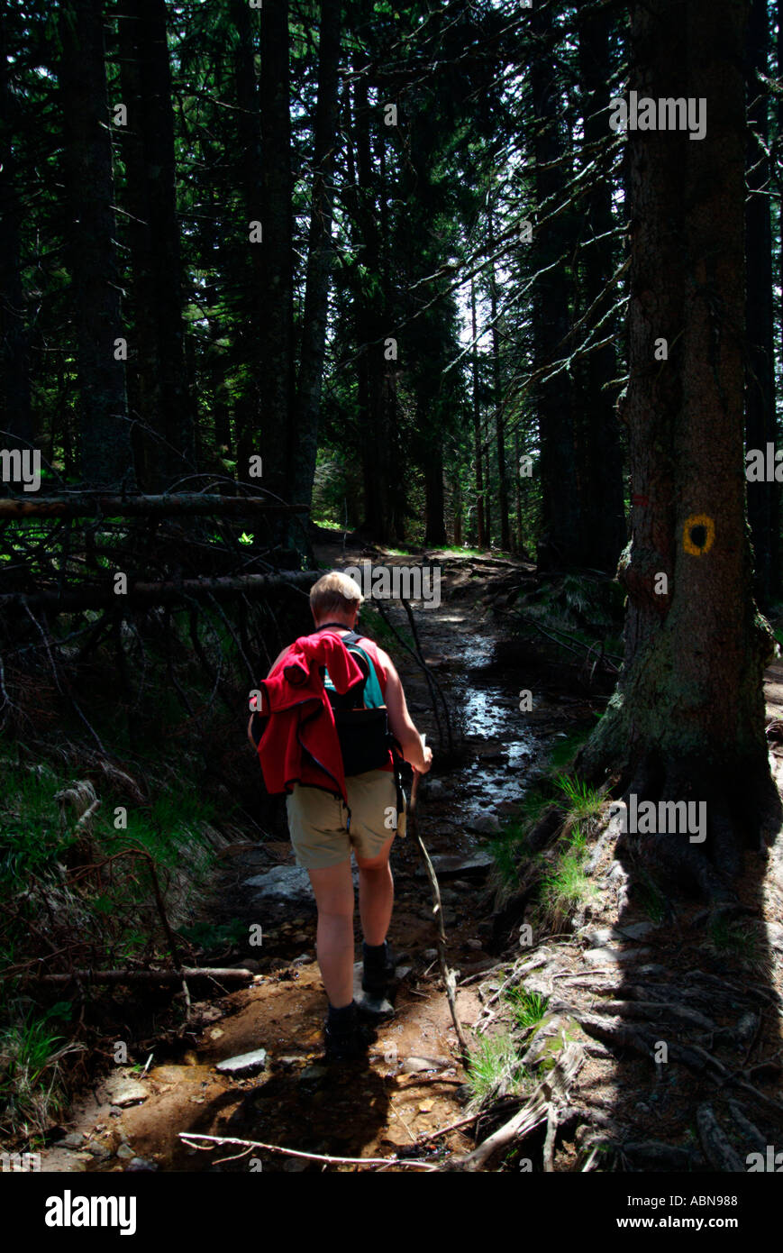 Woman hiking in th hi-res stock photography and images - Alamy
