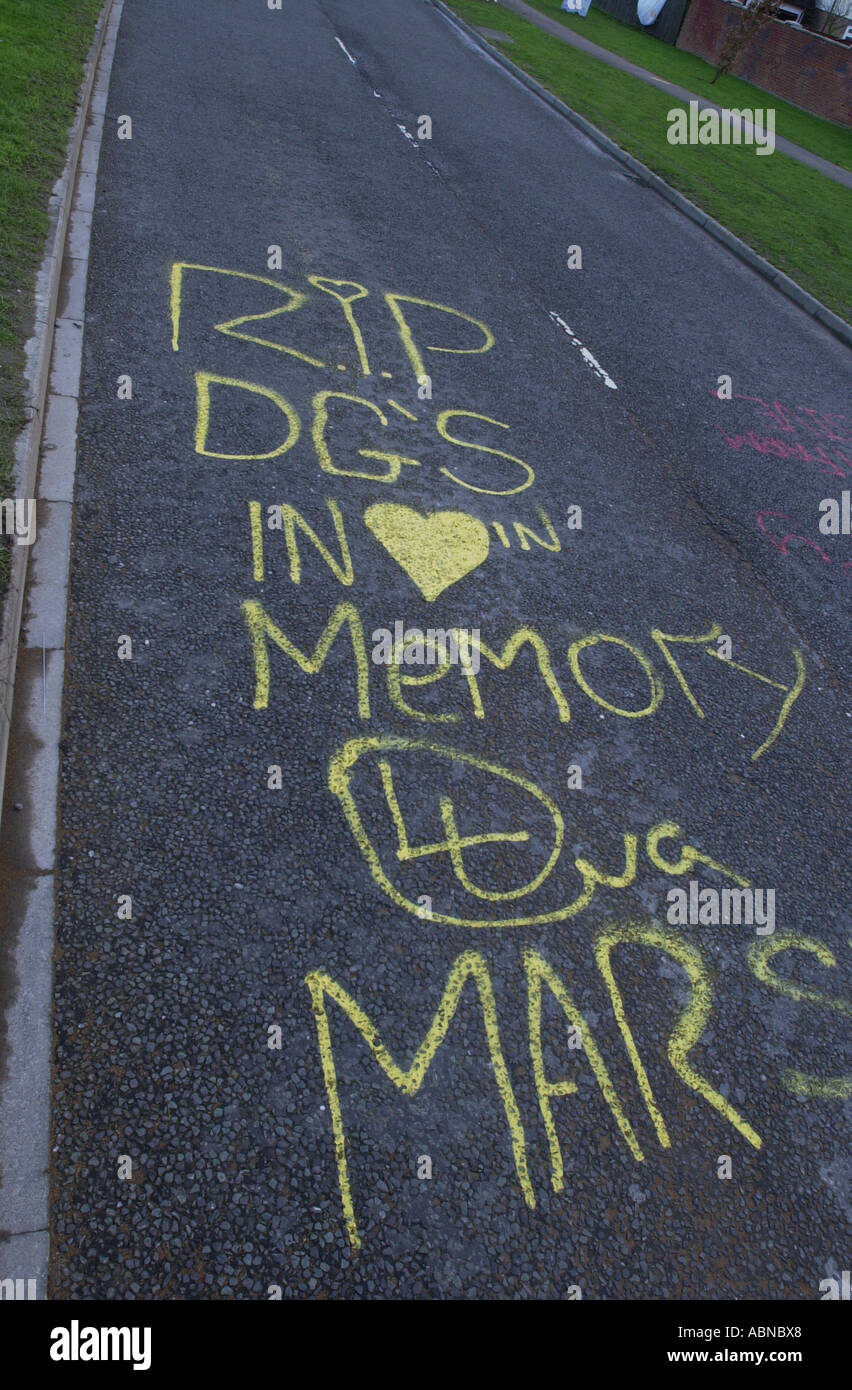 Graffiti on a road at the scene of a joy rider death UK Stock Photo