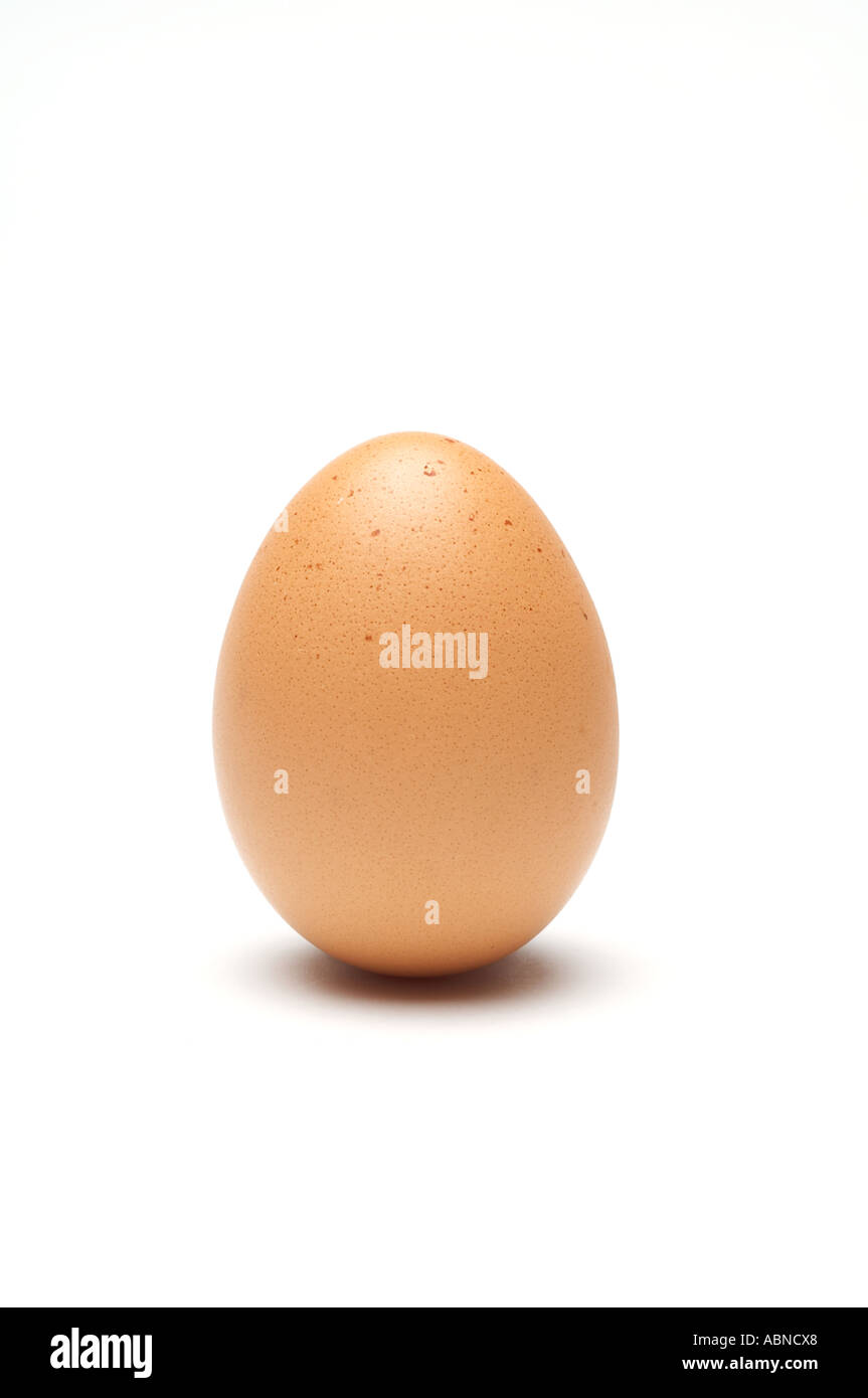 Egg, chicken, protein, food, shell, eggs, battery, hens, fried, boiled