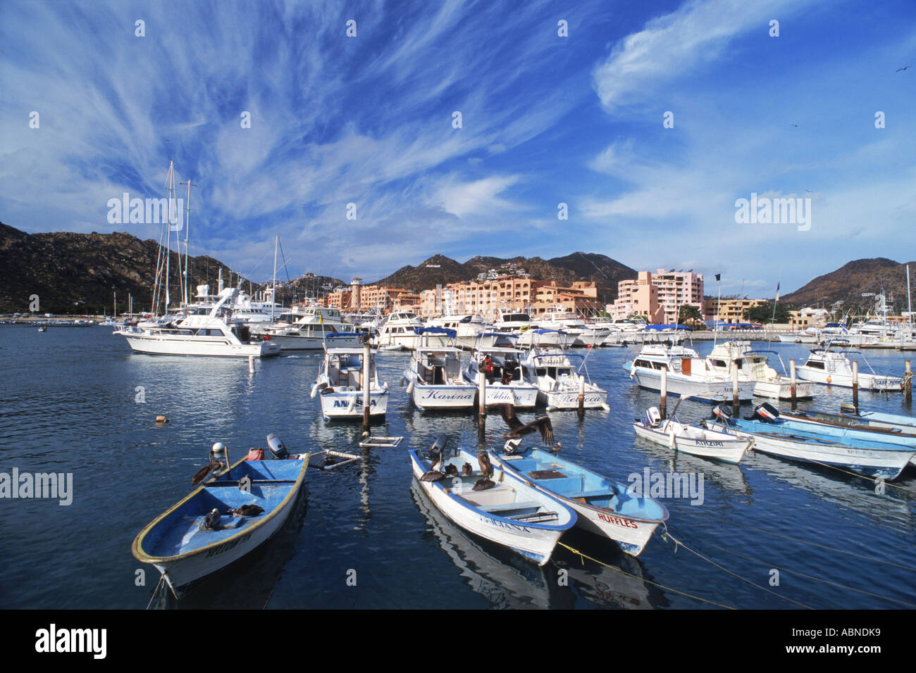 Yachts and boats in Cabo San Lucas Marina in Baja, Mexico Stock Photo ...