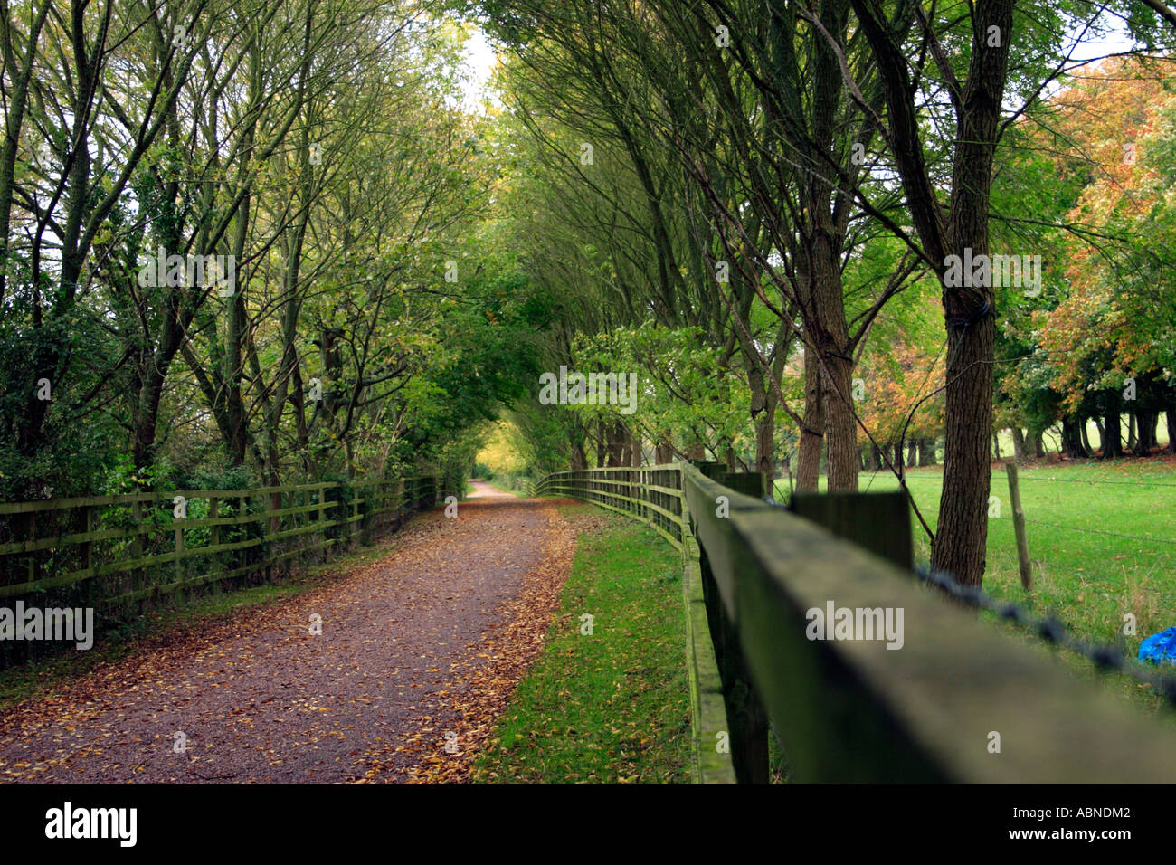 Thames Path in Autumn, Pangbourne Stock Photo Alamy