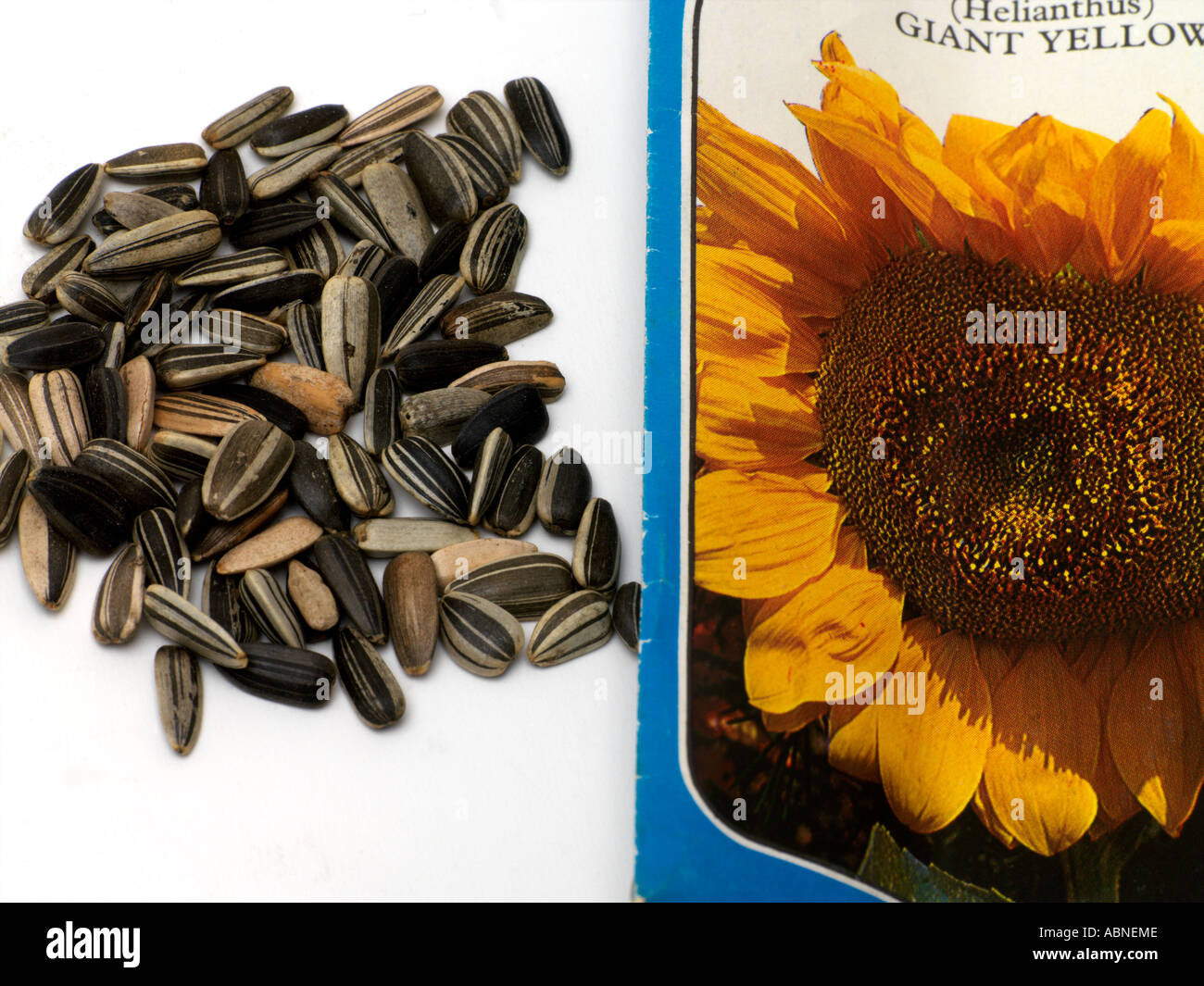 Sunflower packet seed hires stock photography and images Alamy