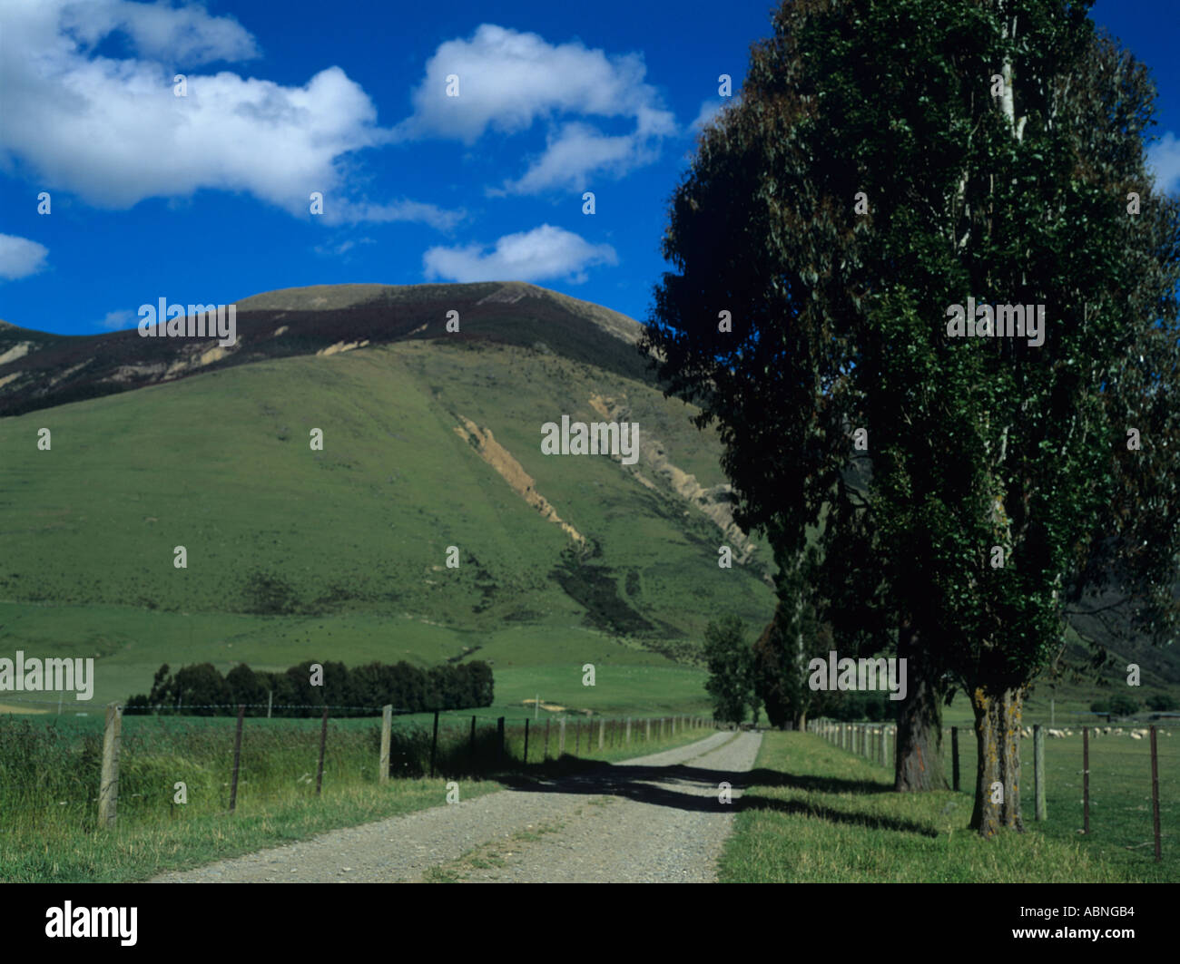 Looking down a rural road at the Mid Dome in Northern Southland New Zealand Stock Photo
