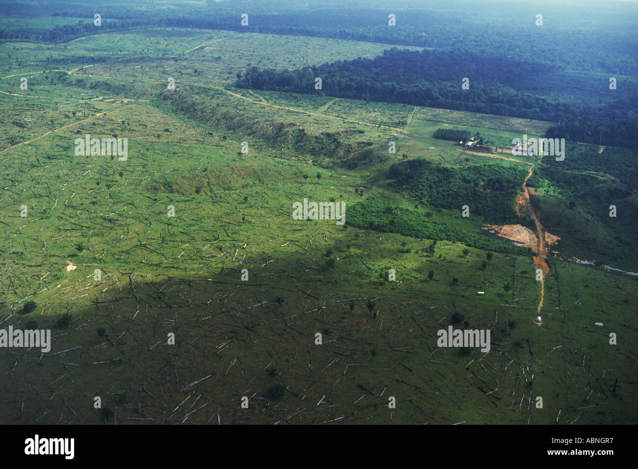 Deforestation or clear cutting of rain forests in Brazil near Amazon River Stock Photo