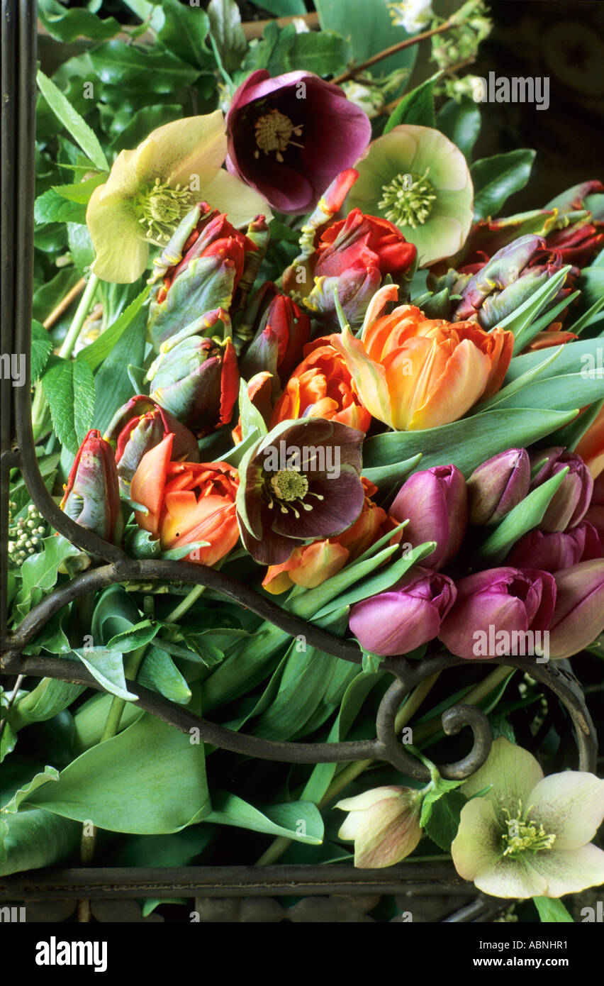 Cut Flower arrangement, Hellebores, Tulips in Basket, still life