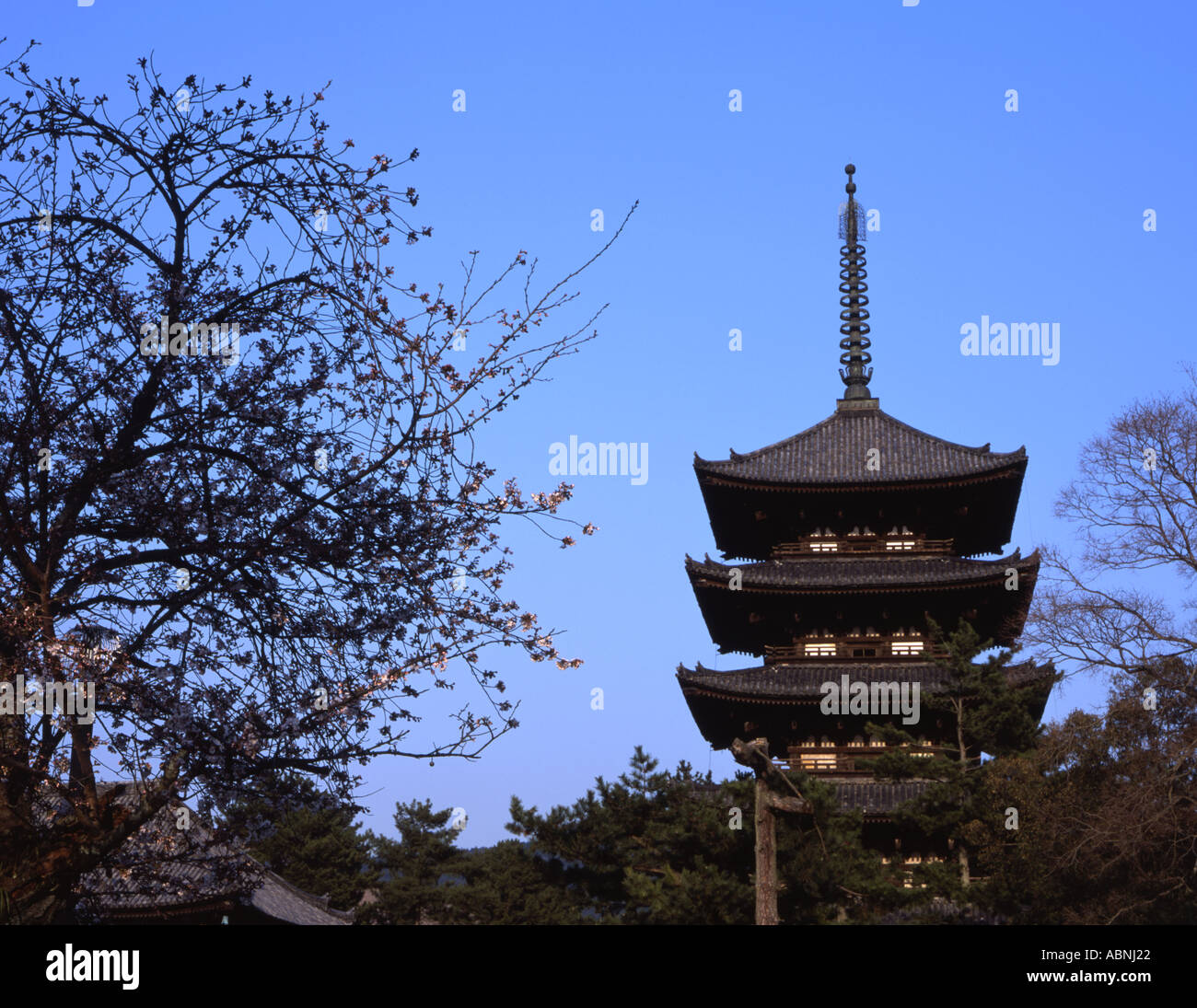 The five story pagoda at Kofukuji temple Stock Photo
