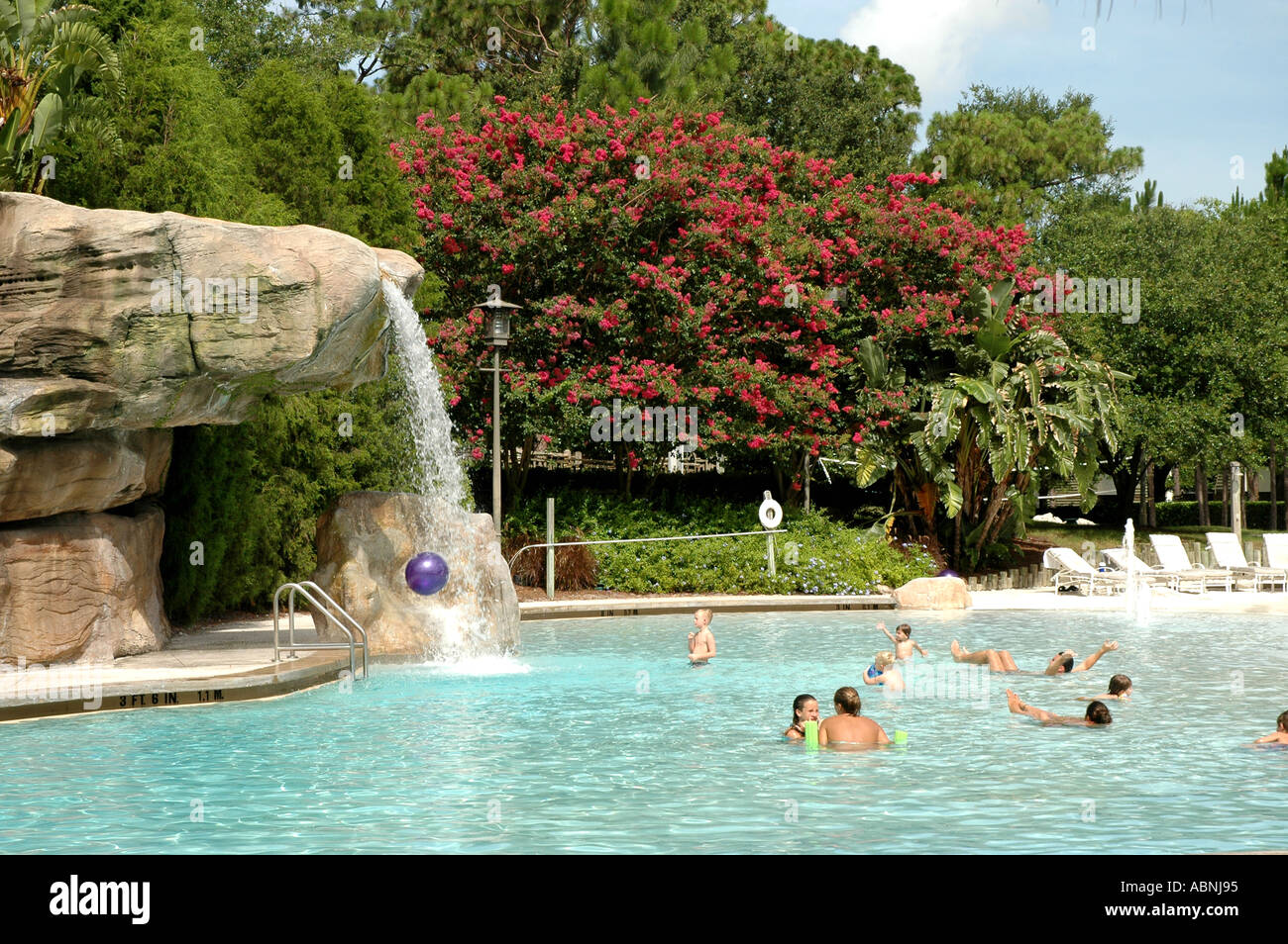Tarpon Springs Florida Westin Innisbrook Resort Loch Ness Swimming Pool