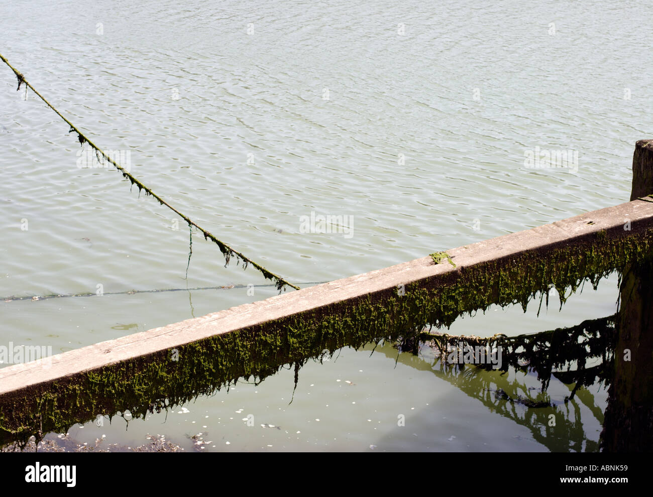 Mooring rope and wooden jetty Stock Photo - Alamy