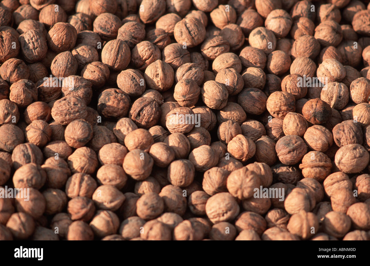 Walnuts for sale at a market stall Mingora Pakistan Stock Photo Alamy
