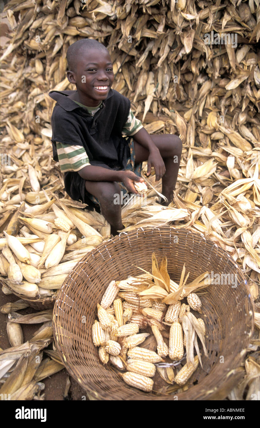 Ghana maize growers victims of World Trade cant compete with imported