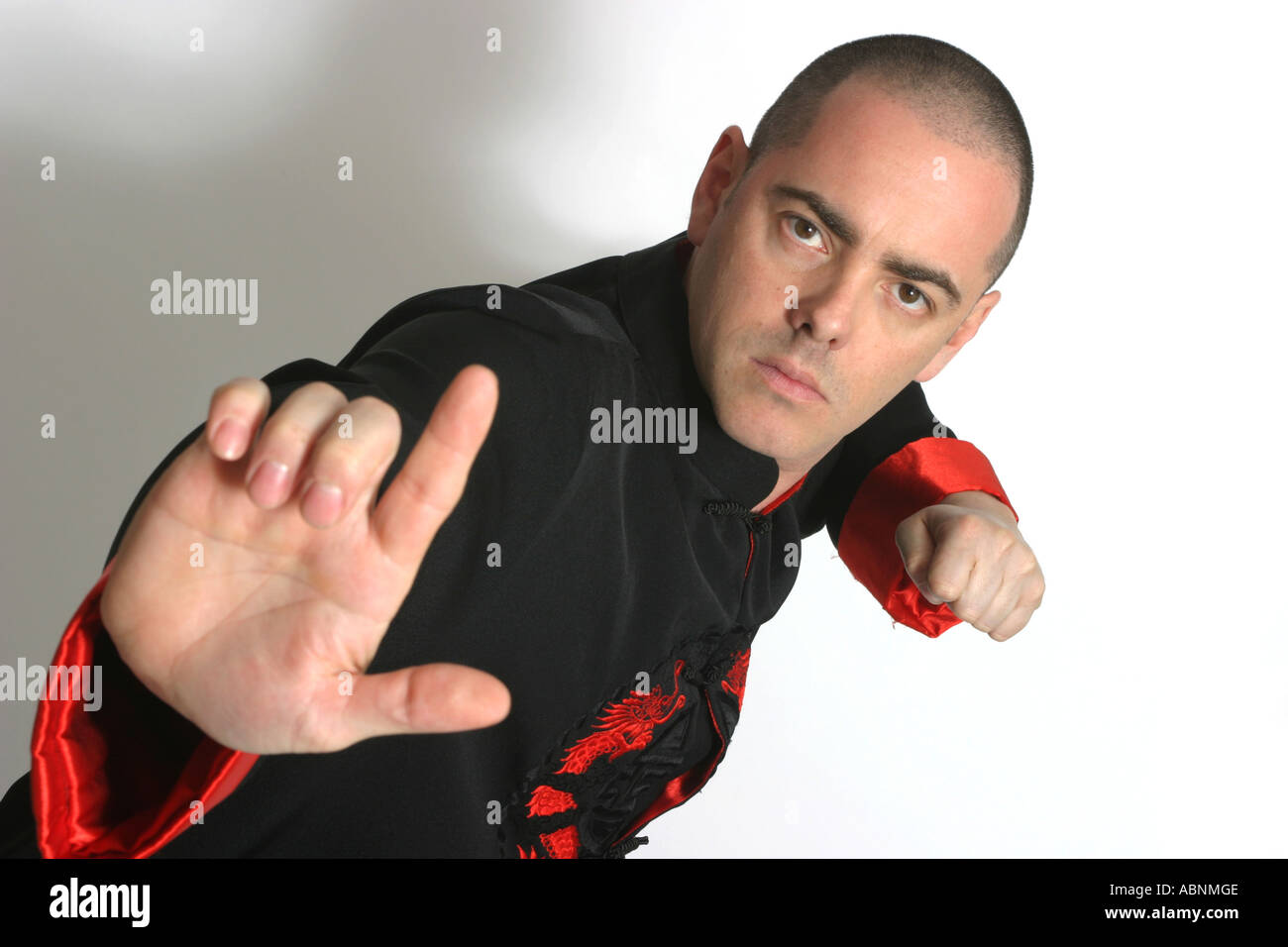 A martial arts expert Stock Photo - Alamy