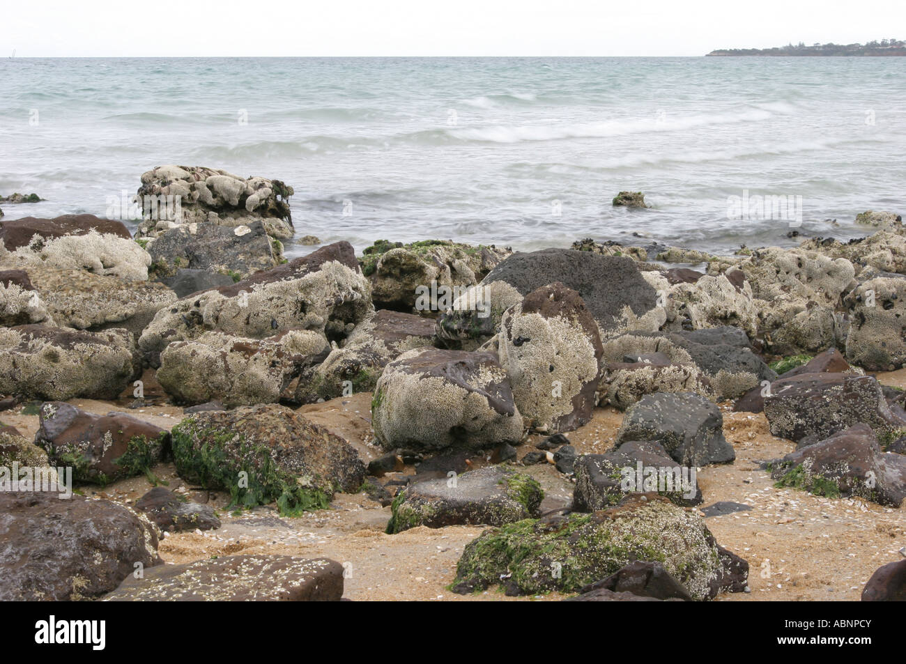 beach with rocks Stock Photo - Alamy