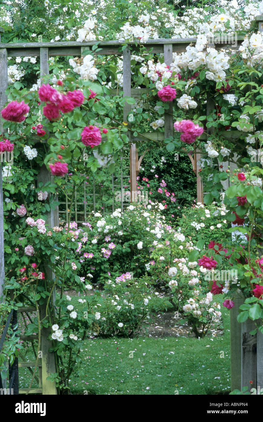 Garden trellis arch hires stock photography and images Alamy