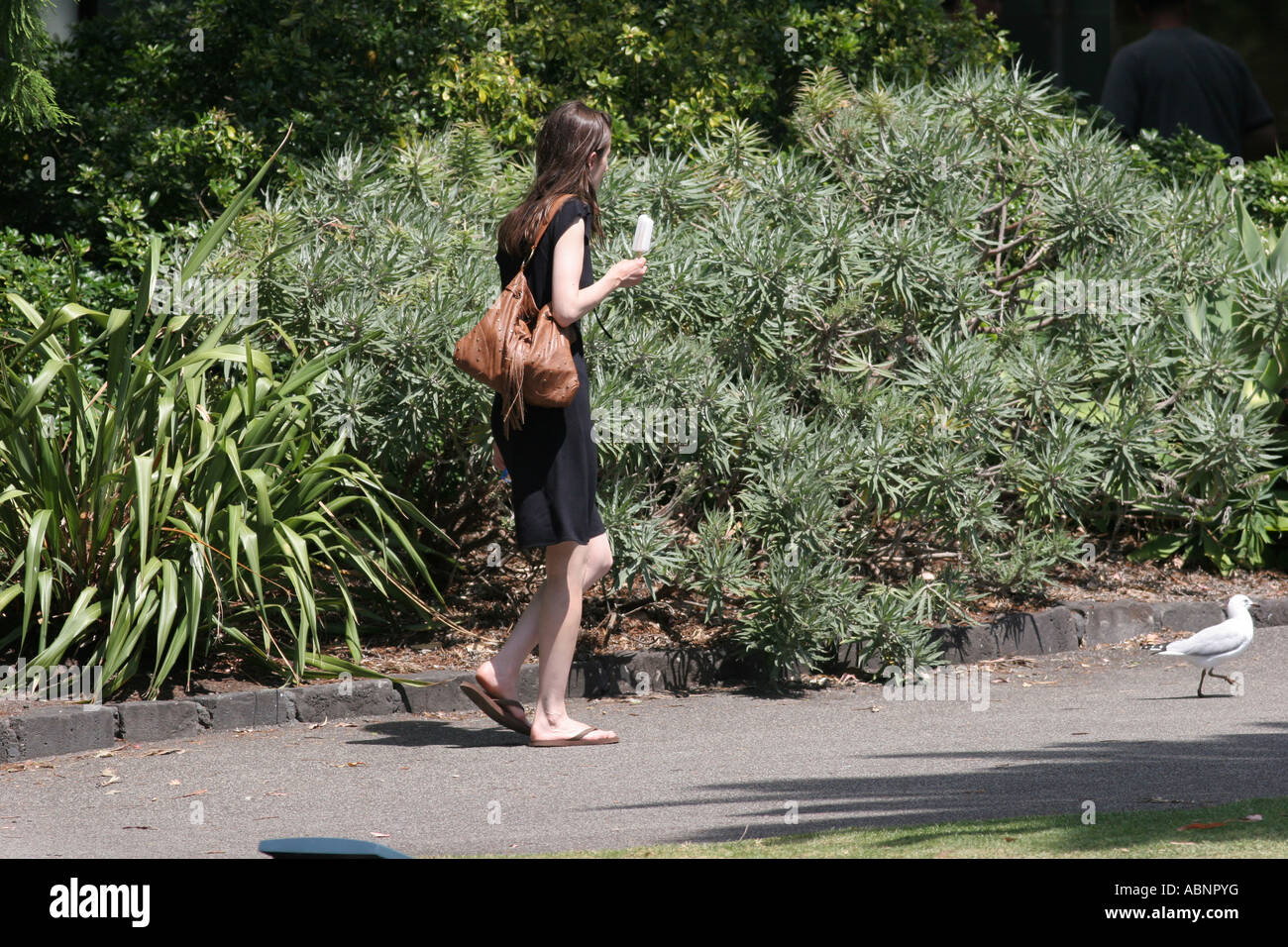 a young woman walking in the park Stock Photo - Alamy