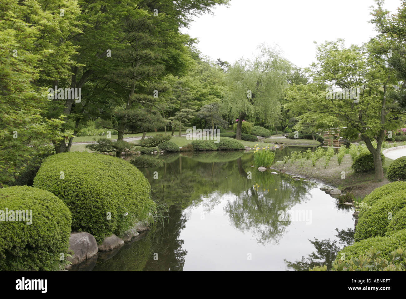 Mito Kairakuen, Japan, flower, park, nature, garden, tradition, spring Stock Photo