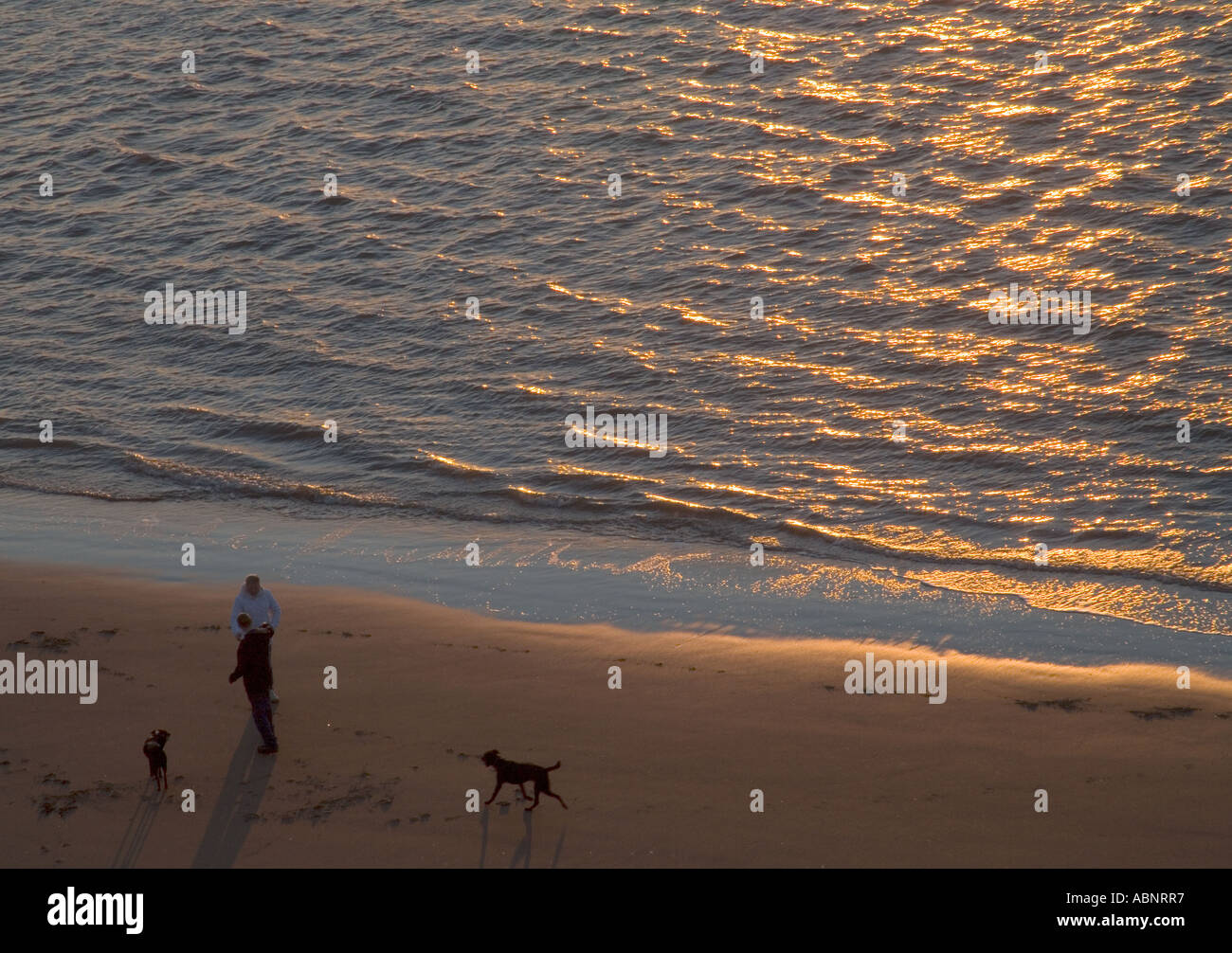 sunset on blackpool beach with dog walkers Stock Photo Alamy