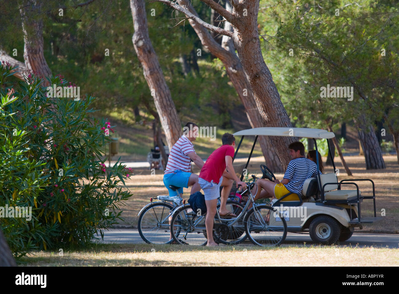 Bicycles and electric cars are primary transport vehicles for visitors on Brioni islands, Veliki Brijun, Croatia Stock Photo