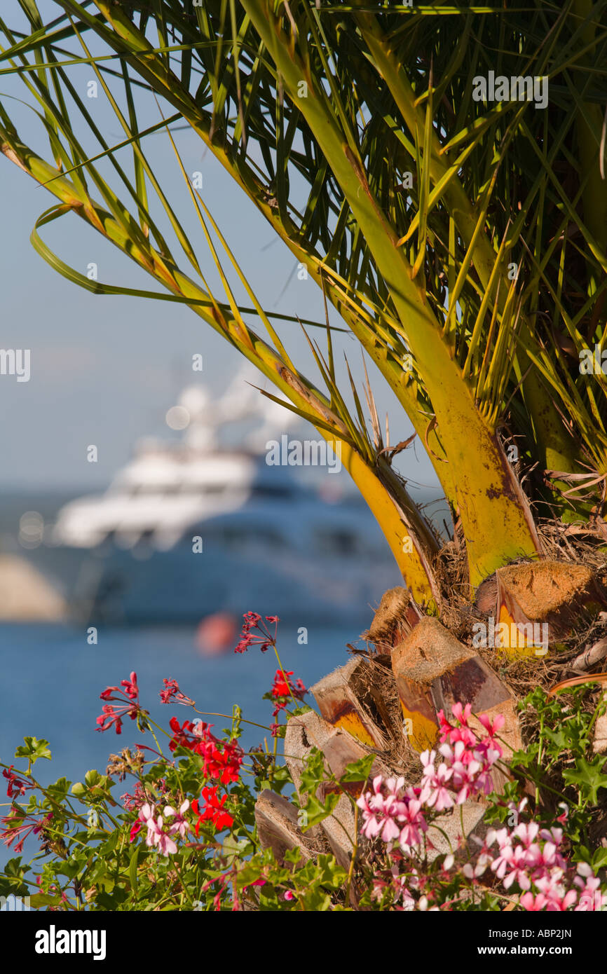 Yacht in port unsharp, flowers and vegetation sharp in foreground Stock Photo