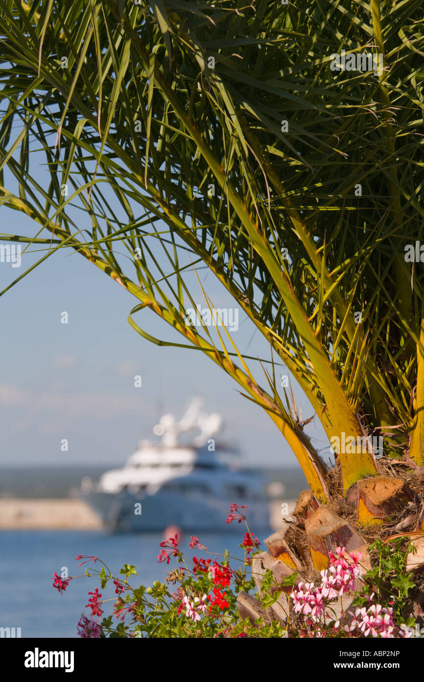 Yacht in harbor unsharp, flowers and vegetation sharp in foreground Stock Photo