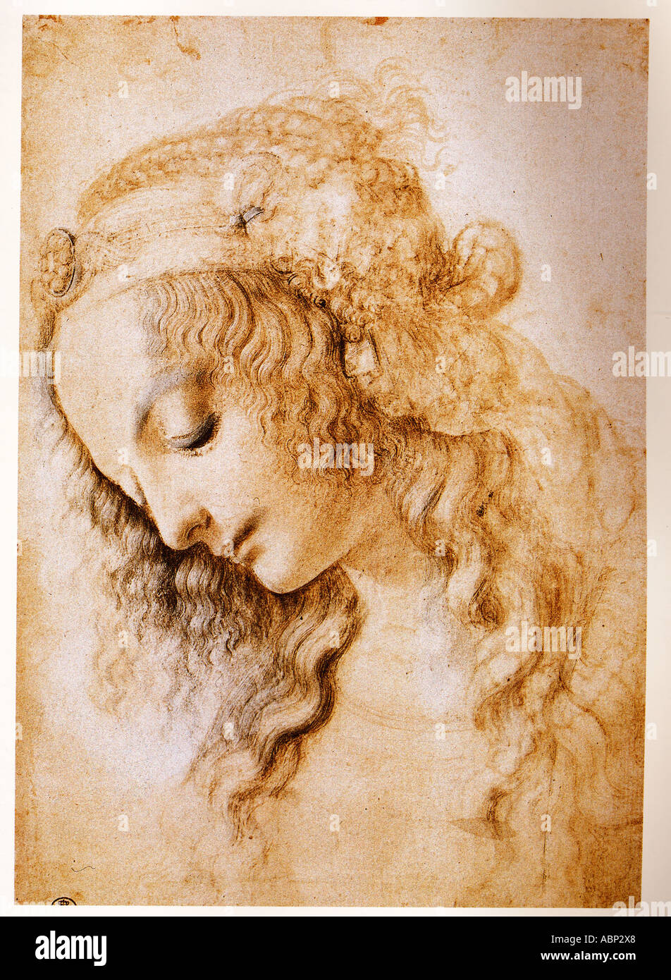 Leonardo da Vinci Profile of a Young Woman ca. 1475 Stock Photo