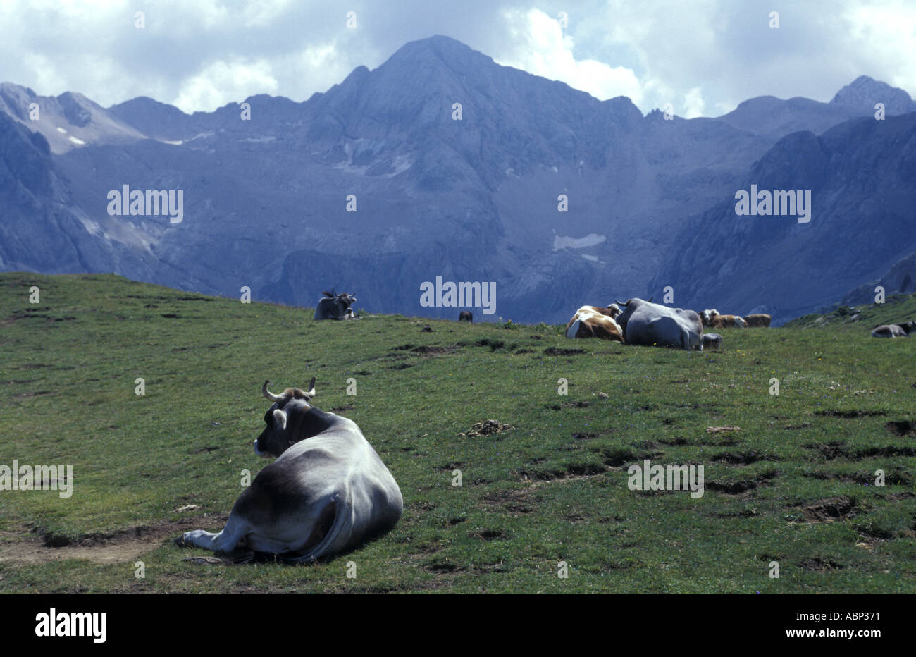 Col Ombert Stock Photo