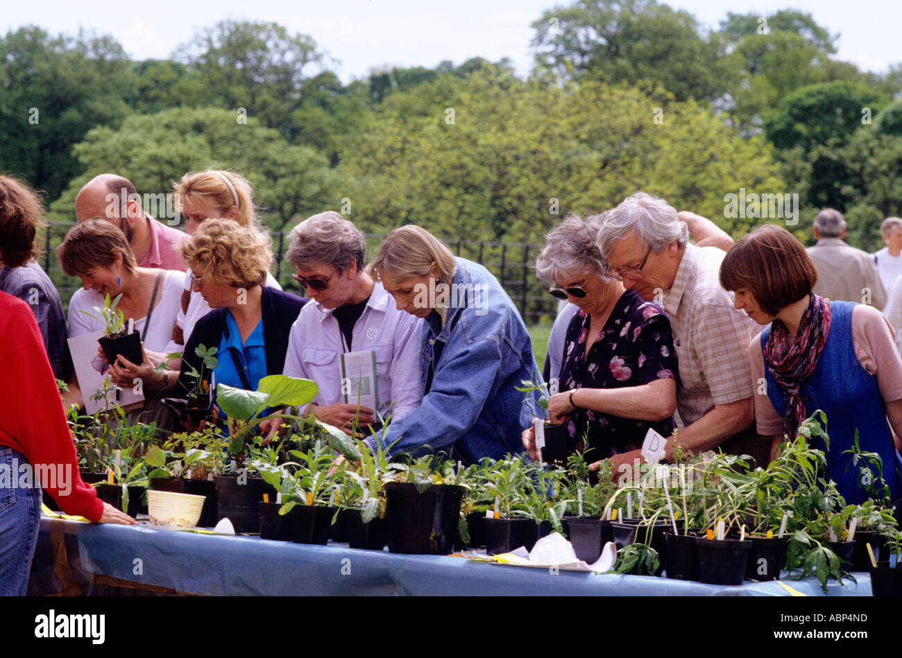 Garden centre, Plant Fair, people buying plants center sales centres