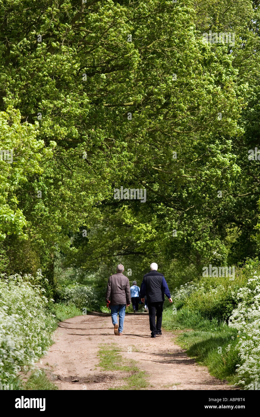 Walkers stroll down the path that leads to West Bergholt bluebell woods
