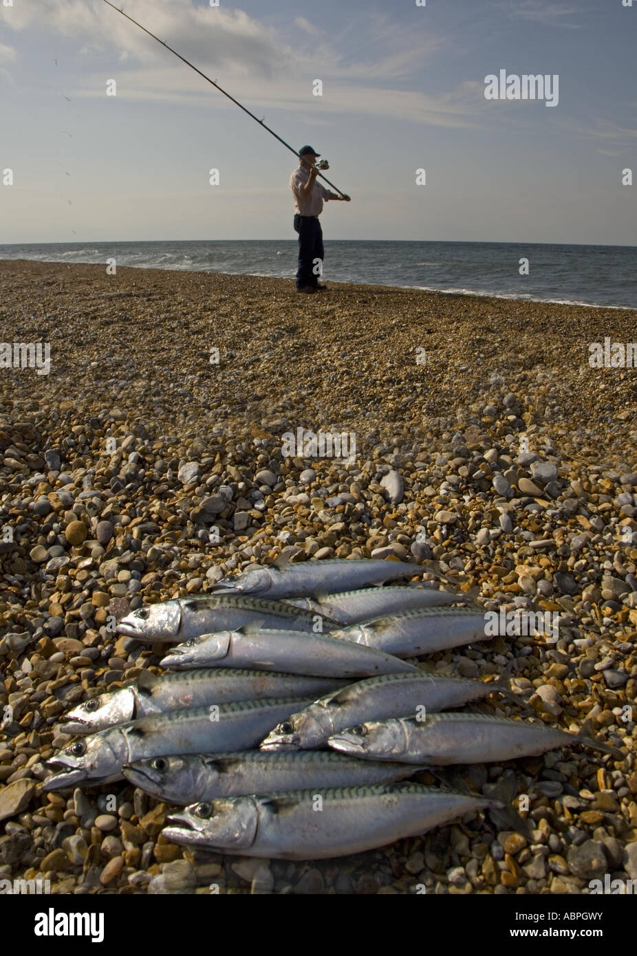 Mackeral Fishing Cley Norfolk Stock Photo