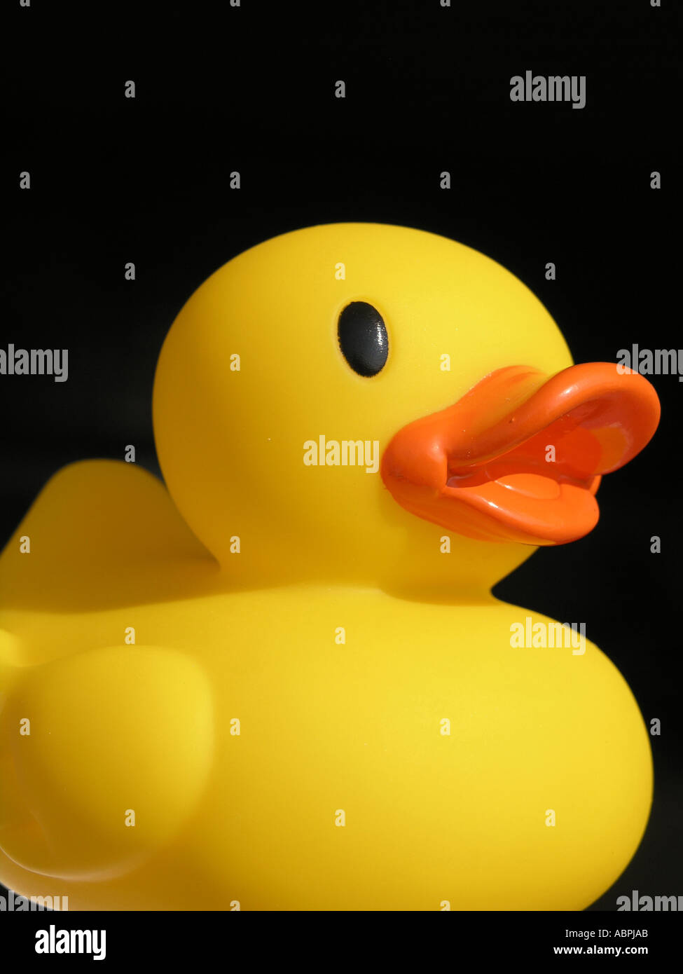 One yellow rubber duck Stock Photo Alamy